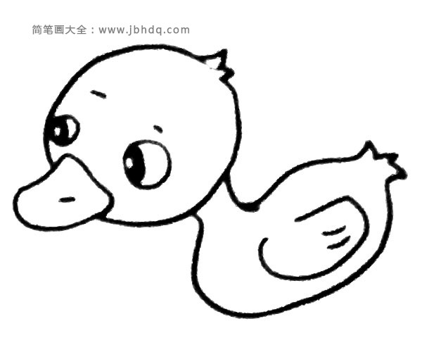水里的小鸭子简笔画步骤4
