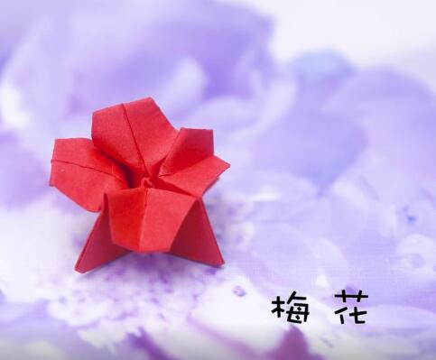 漂亮的折纸梅花