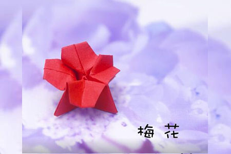 漂亮的折纸梅花