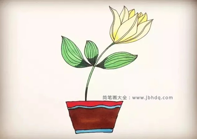 百合盆栽的画法