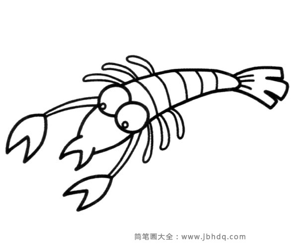 大虾的简笔画法图片