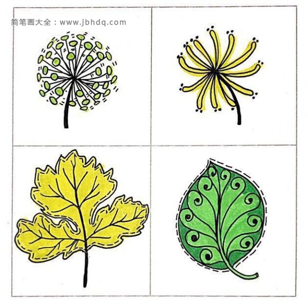 12张植物的手帐简笔画