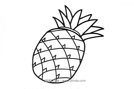 简笔画图片菠萝
