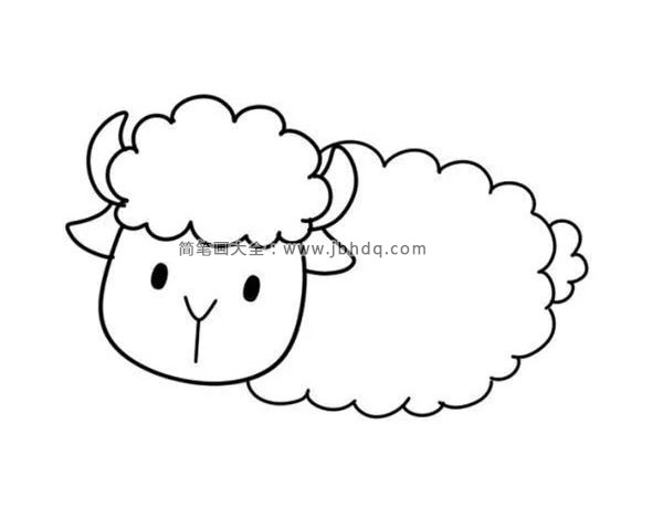 第四步：画绵羊的身体和小尾巴。因为绵羊毛很多，所以直接画云朵一样的形状来表示身体和尾巴。
