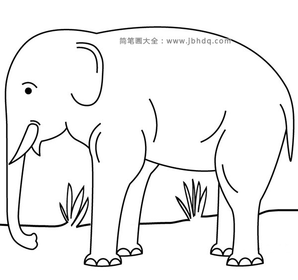 大象的脚掌简笔画图片