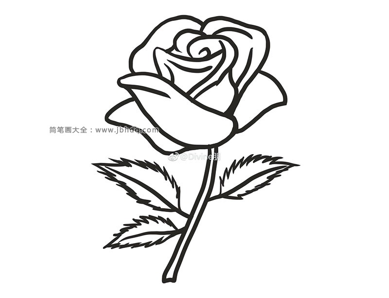 漂亮的红玫瑰简笔画1