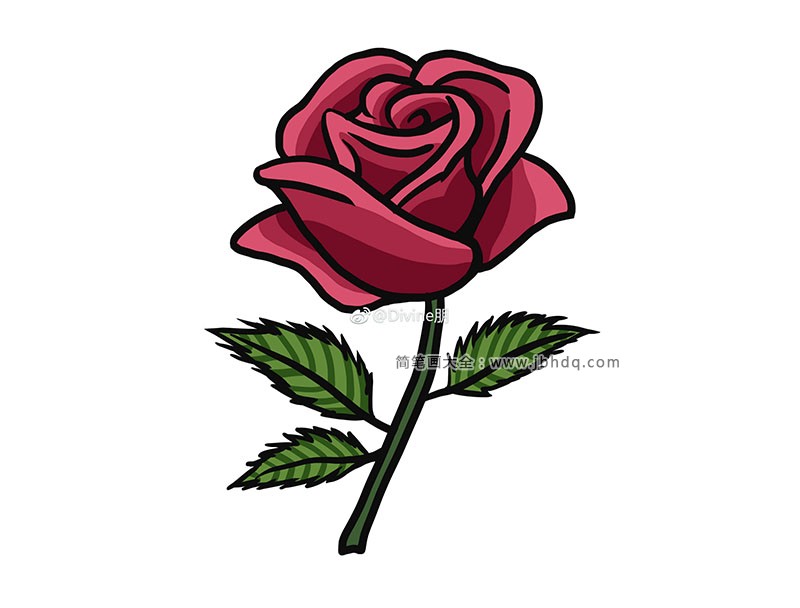 漂亮的红玫瑰简笔画2