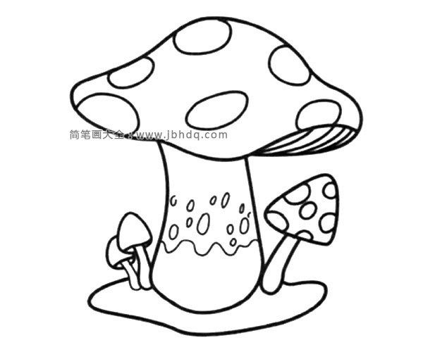 大蘑菇小蘑菇