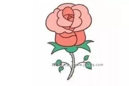 简笔画教程｜粉色的玫瑰花