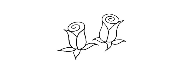 第四步 同样的画法在左侧画出另一朵玫瑰。