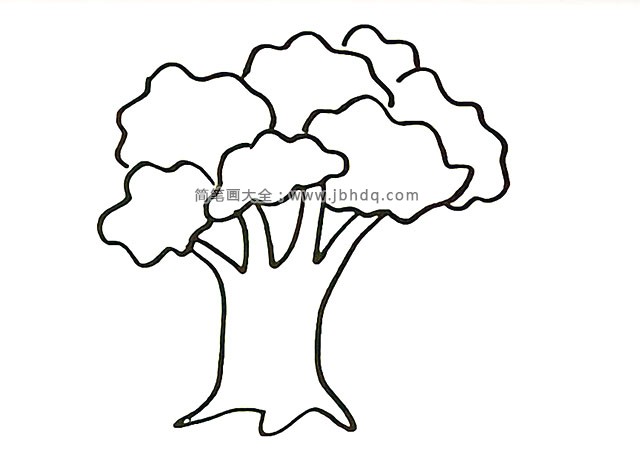 第四步：用相同的办法画出枝繁叶茂的其他树冠。