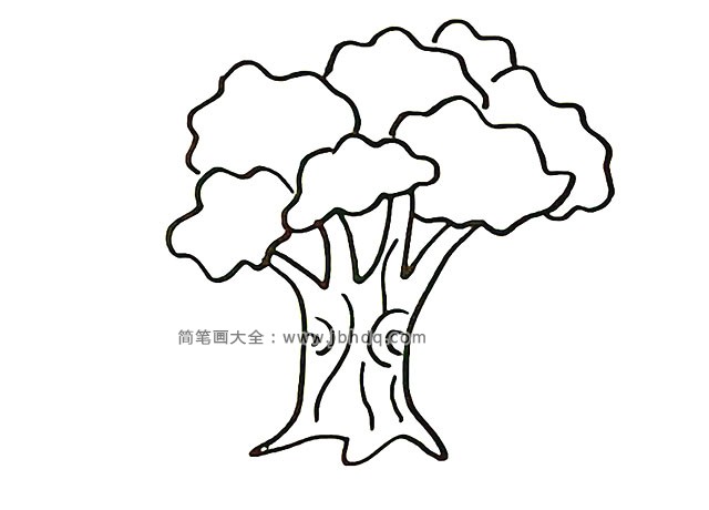 第五步：画出大树的年轮，在树干处画出不同的纹理。