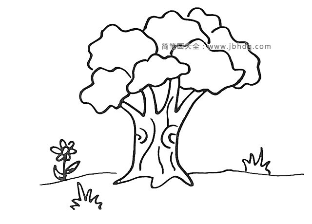 第八步：在大树旁边画一朵小花，并给小花添上叶子。