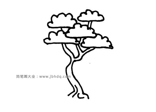 简单的大树简笔画4