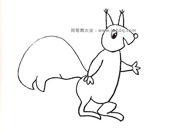9.我们画出松鼠大大的尾巴。