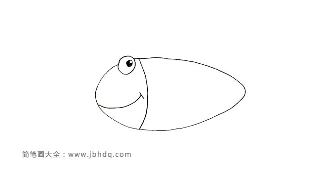 第四步 用弧线区分开海草鱼的头部和身体。