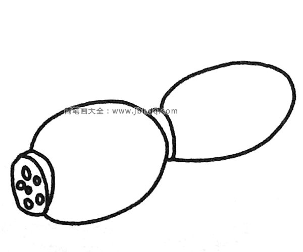 莲藕简笔画图片5