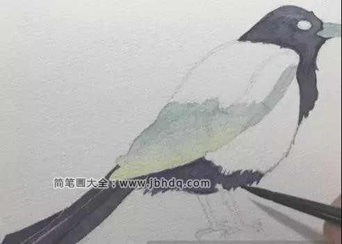 Step 3，上面的颜色(钴蓝加紫色淀)给翅膀上加深一层颜色，然后调和少许黑色加深羽毛颜色，尾部留出高光，好让尾巴有层次感。