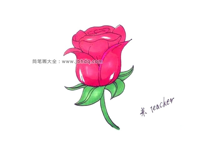 第十一步：最后我们把画好的玫瑰花涂上漂亮的颜色。