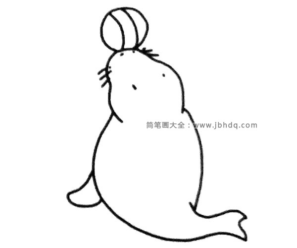 一组可爱的海狮简笔画图片