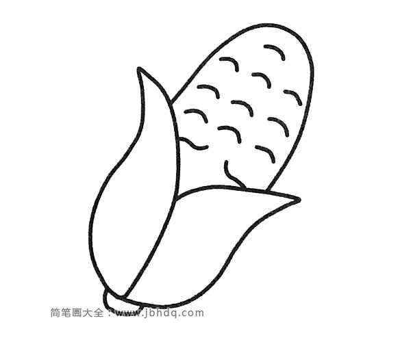 简单的玉米简笔画图片2