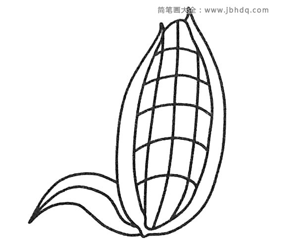 简单的玉米简笔画图片1