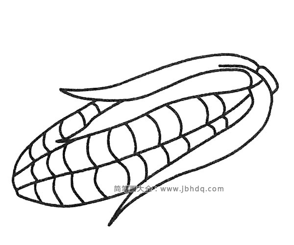 简单的玉米简笔画图片4