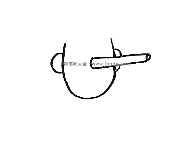 第二步：然后绕着鼻子画上半个椭圆形作为脸，两边再画上半圆作为耳朵。