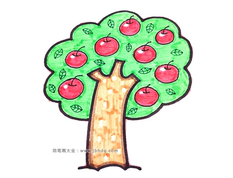 彩色苹果树简笔画