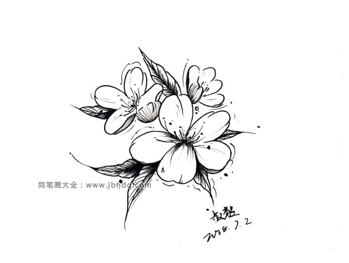 漂亮的黑色花朵插画1