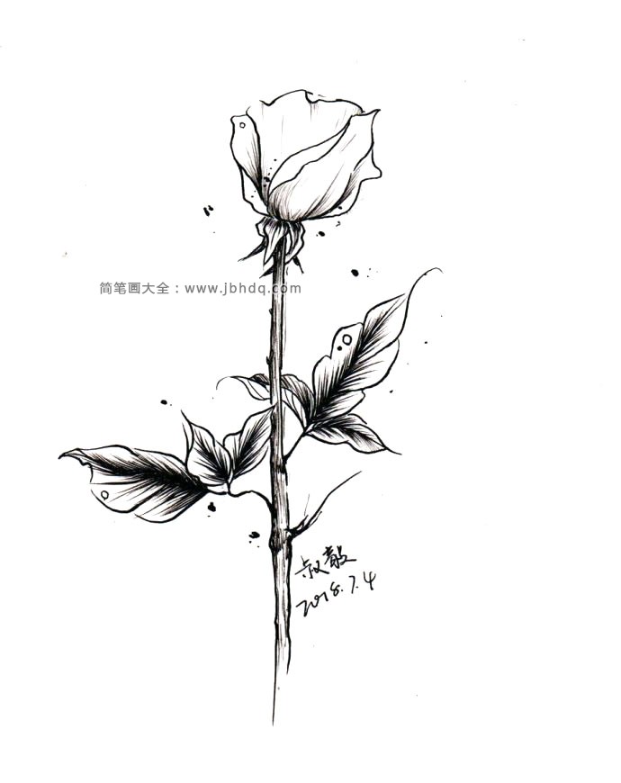 漂亮的黑色花朵插画3