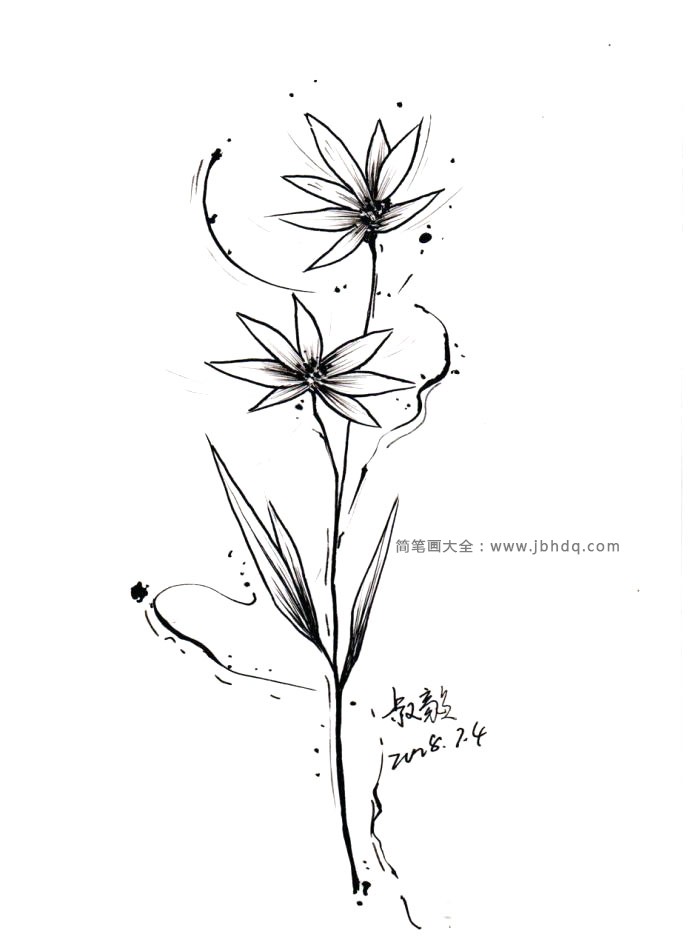 漂亮的黑色花朵插画4