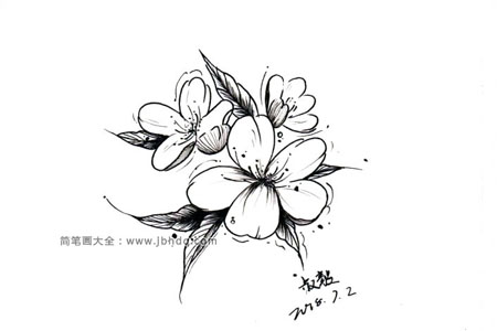 4张漂亮的黑色花朵插画