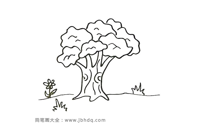 第九步：用波浪线画出树冠上的纹理，这是一棵枝繁叶茂的大树哦。