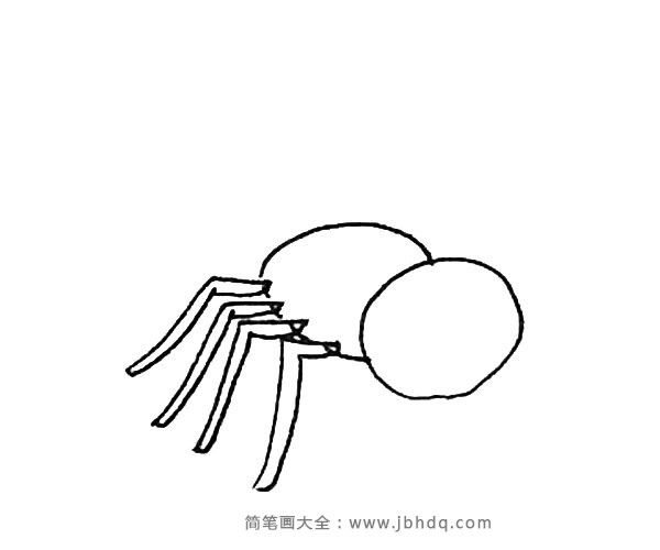 第三步：再画上一个椭圆形，并且给小折线画上厚度作为蜘蛛腿。