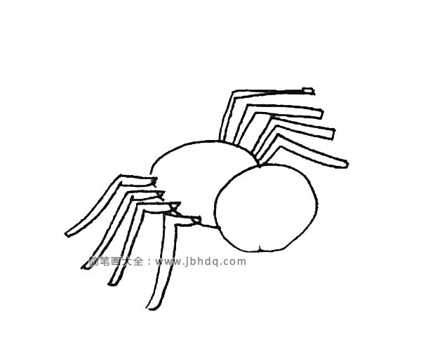 第四步：右边也要画上蜘蛛的脚，也是四条。