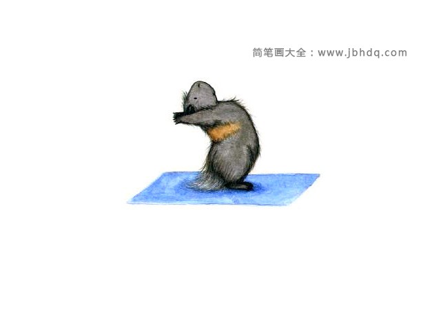 练瑜伽的老鼠2