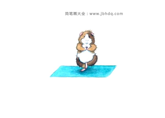 趣味插画——练瑜伽的老鼠