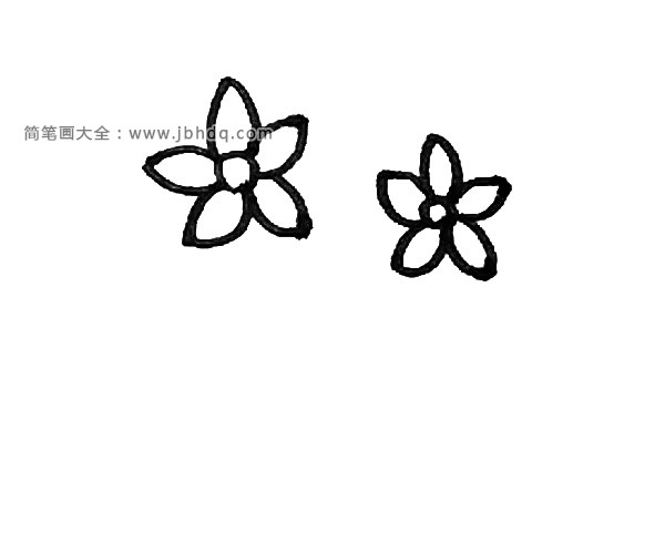 第三步：用同样的方法在旁边也画上一朵水仙花。