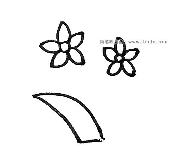第四步：接着在下面画上两条弧线，组成水仙花的叶子。