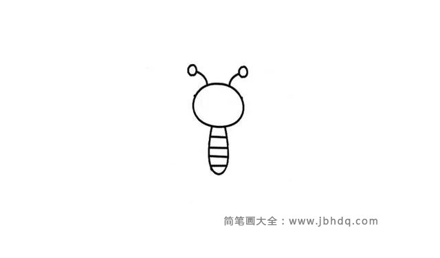 第二步  接着画出蜜蜂的身体，一个小小的条状型，中间画出几条小横线，对身体进行划分。