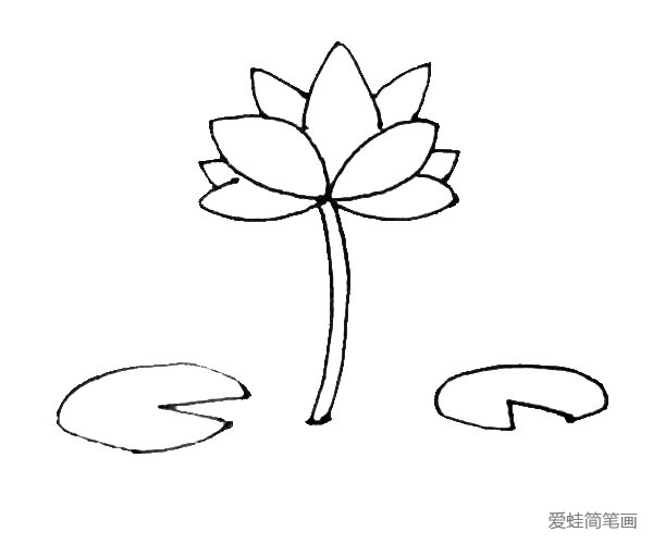 第五步：在花朵的旁边，再画上几片有三角形缺口的椭圆形作为荷叶。