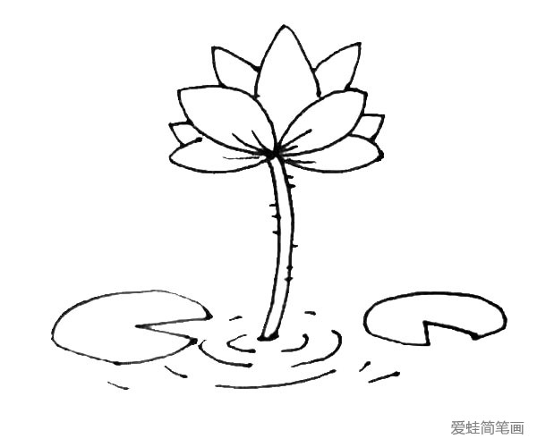 第六步：枝条旁边用弧线画出一些水波，以及在枝条和花瓣上加上一些纹理细节。