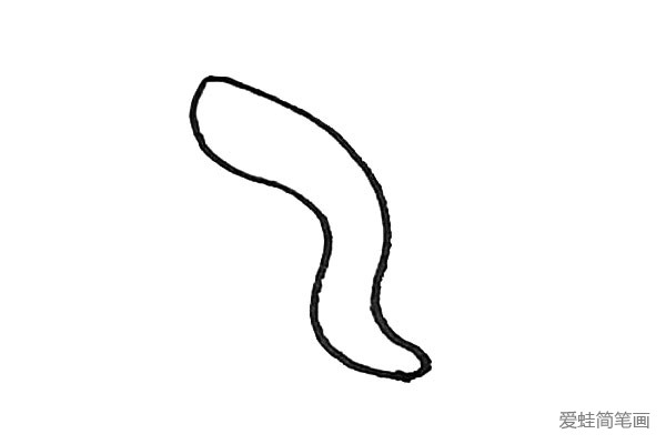 第一步：先画上两条弧线连接起来形成鳗鱼身子的外形。