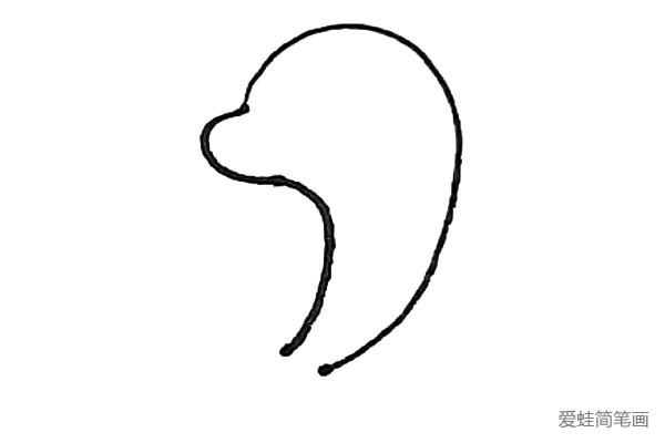 第二步：然后用弧线画出它的鼻子和腹部，但不要和另一条弧线连在一起。