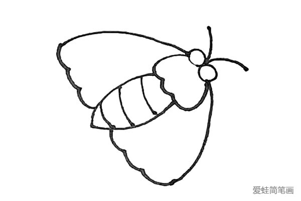第五步：再将它们与眼睛的部位连接起来形成翅膀，以及用弧线画上两根触角。