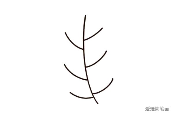 1.先画出蒲公英的主茎和枝茎，画的时候注意交错层的位置。