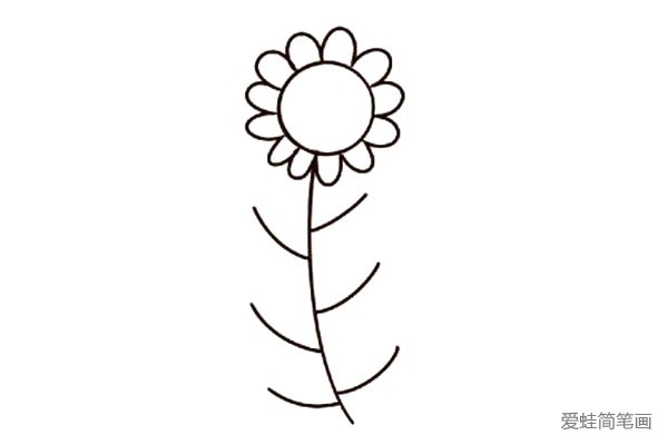3.围绕圆形画一圈波浪线，作为向日葵的花瓣。