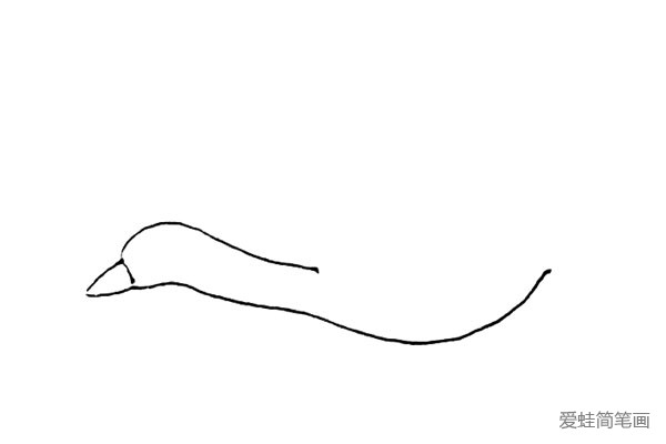 第一步：先画上两条曲线作为大雁的脖子和身形，左边还要画上嘴巴的形状。