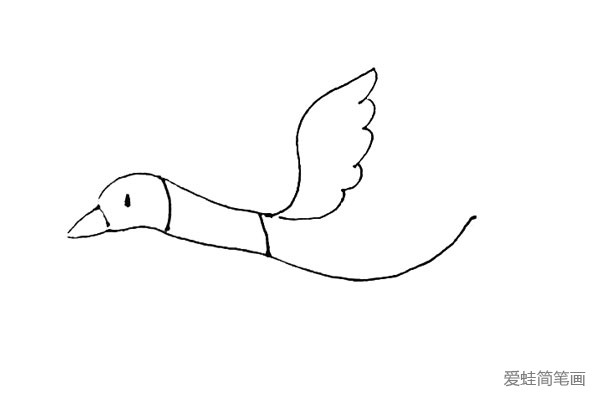 第三步：在脖颈处向上画上一条曲线，注意弧度，然后向下画波浪线，形成大雁的第一层羽毛。